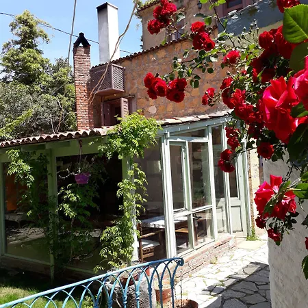 Hotel Adatepe Otel Adatepe (Ayvacik)