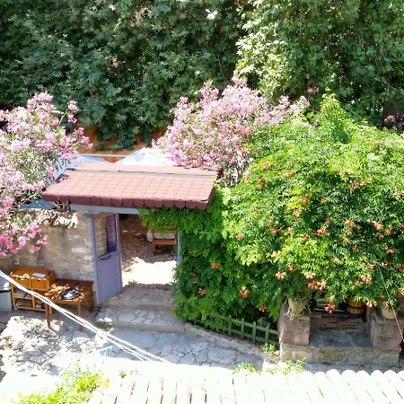 Hotel Adatepe Kucukkuyu