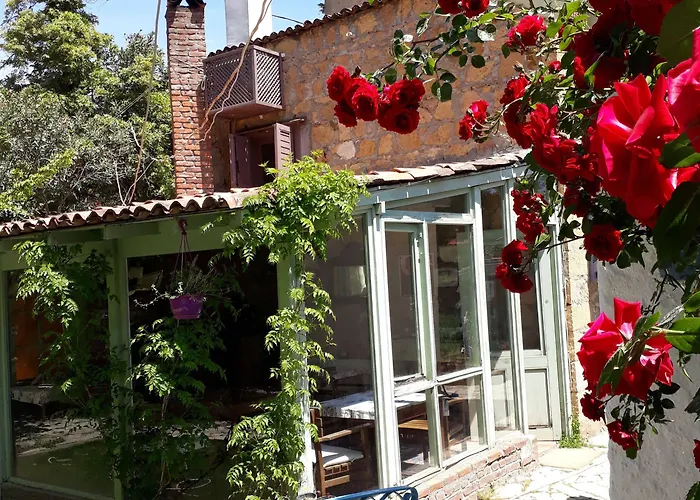 Hotel Adatepe Otel Adatepe (Ayvacik)