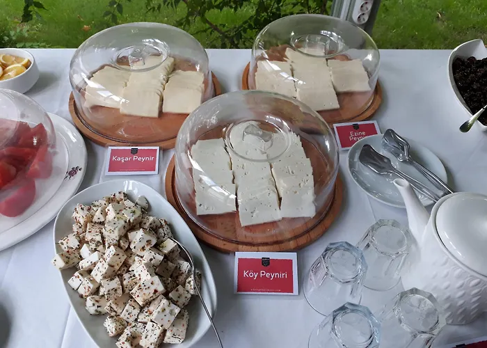 Hotel Adatepe Otel Adatepe (Ayvacik)