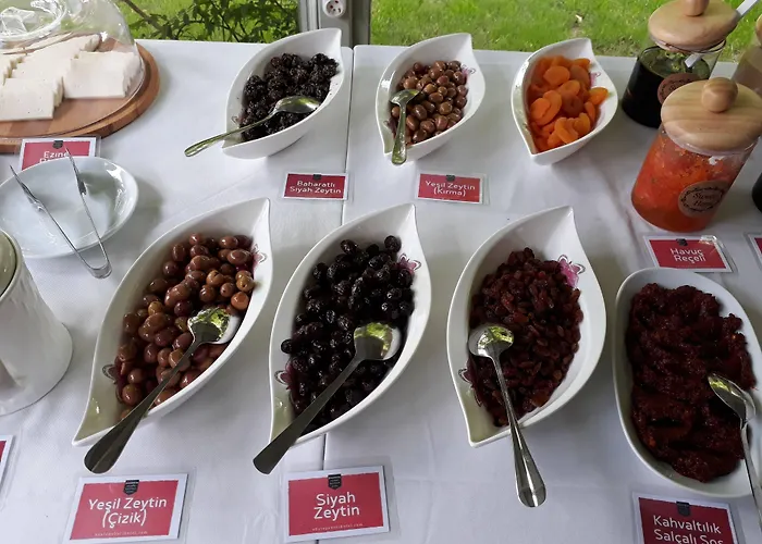 Hotel Adatepe Otel Adatepe (Ayvacik)